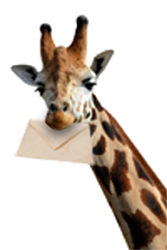 Giraffe_produkt2